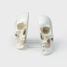 Load image into Gallery viewer, Skull Bookends