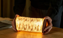 Load image into Gallery viewer, Velvet Accordion Lamp - Brown Zebra