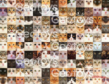 Load image into Gallery viewer, Cats puzzle detail