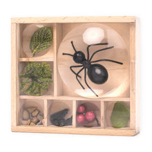Load image into Gallery viewer, Features 7 compartments and built-in magnifying lenses to take a closer look at your discoveries. 7X (Large), 5X (Medium), and 2X (Small) magnification.