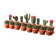Load image into Gallery viewer, Cactus Chess Set