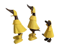 Load image into Gallery viewer, temp photo