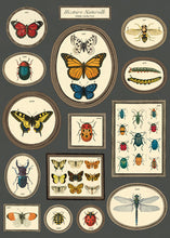 Load image into Gallery viewer, Gift Wrap/Posters