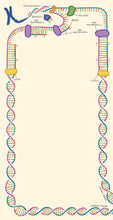 Load image into Gallery viewer, A notepad page is framed by a colorful, labeled illustration of a unwinding DNA replication fork surrounding a blank center space.
