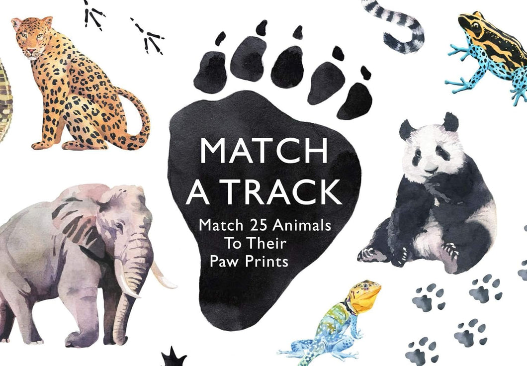 Match A Track: A Memory Game