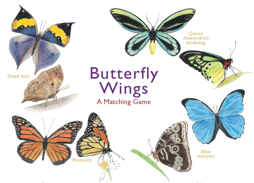Butterfly Wings: A Memory Game