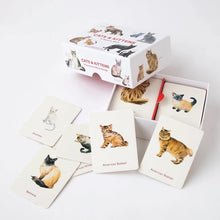 Load image into Gallery viewer, Cats &amp; Kittens: A Memory Game
