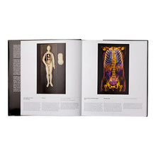 Load image into Gallery viewer, Anatomy Exploring the Human Body
