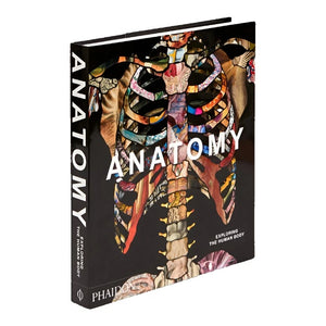 Anatomy Exploring the Human Body