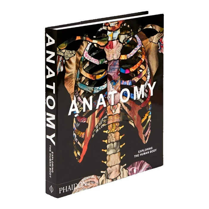 Anatomy Exploring the Human Body