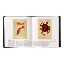 Load image into Gallery viewer, Open interior spread of an art book displaying two historical zoological illustrations side-by-side, featuring two bright orange goldfish on the left page and a large brown octopus on the right page above paragraphs of descriptive text.

