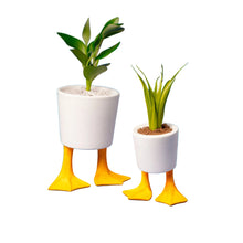 Load image into Gallery viewer, Duck Feet Planter
