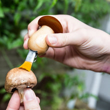 Load image into Gallery viewer, his handy keychain tool is designed for mushroom picking in the wild. Features a blade and brush for clipping and cleaning
