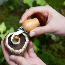 Load image into Gallery viewer, his handy keychain tool is designed for mushroom picking in the wild. Features a blade and brush for clipping and cleaning
