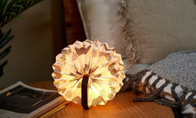 Load image into Gallery viewer, Velvet Accordion Lamp - Brown Zebra
