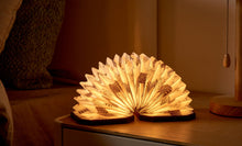 Load image into Gallery viewer, Velvet Accordion Lamp - Brown Zebra

