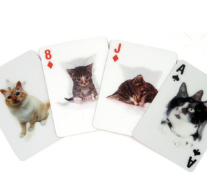 3D Cats Playing Cards
