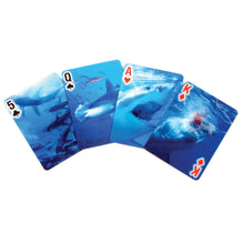 Load image into Gallery viewer, 52 shark images, each card is different
