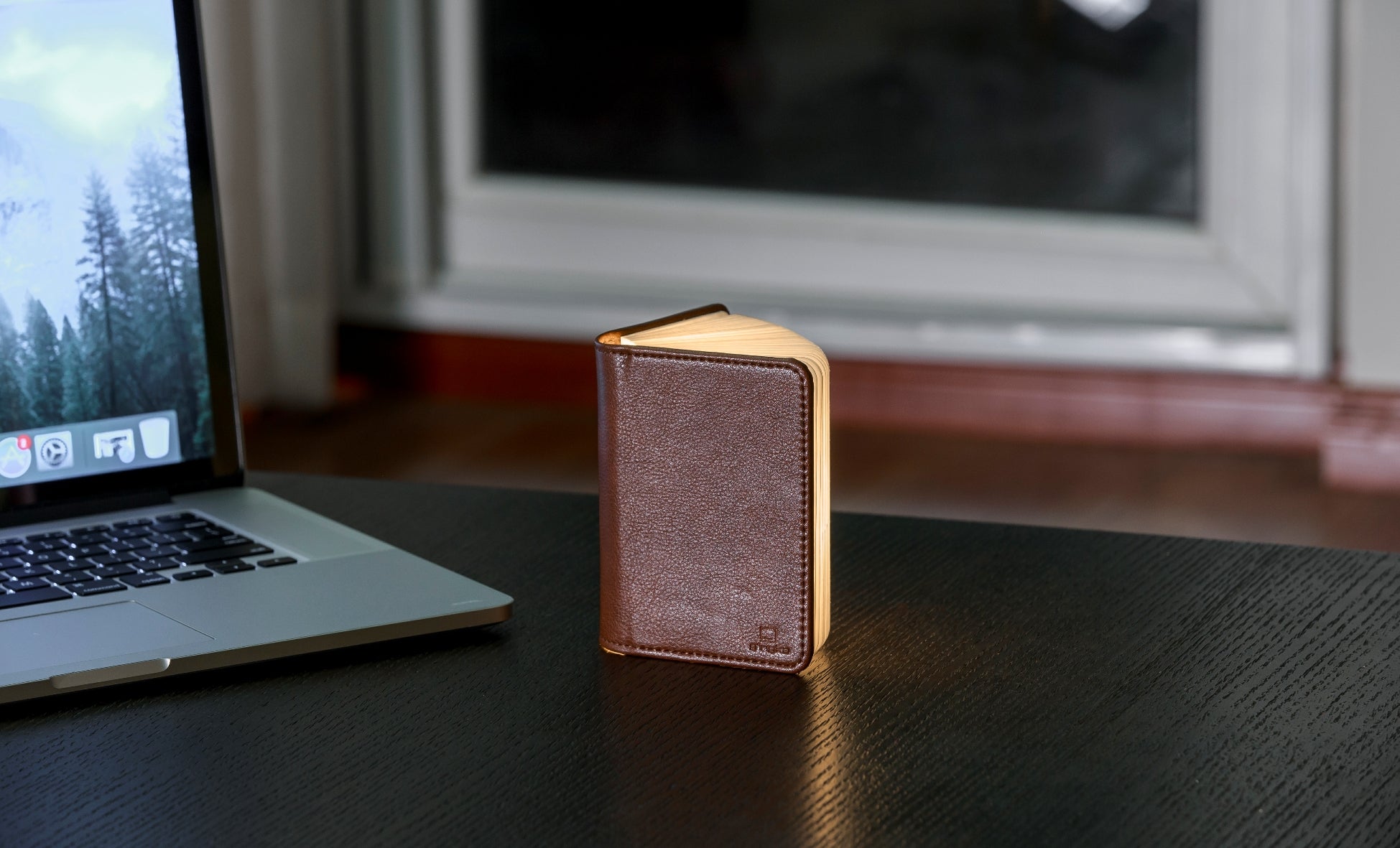 Design Smart Book Mini Smart Book Light - Brown Leather – World Chess Hall of Fame
