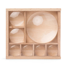 Load image into Gallery viewer, Features 7 compartments and built-in magnifying lenses to take a closer look at your discoveries. 7X (Large), 5X (Medium), and 2X (Small) magnification.
