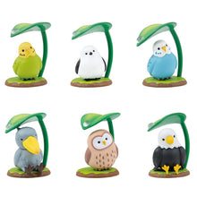 Load image into Gallery viewer, Six distinct, small bird figurines arranged in two rows against a plain white background, each perched on a small grassy base. Every bird, including a green parakeet, white java sparrow, blue parakeet, shoebill, owl, and bald eagle, shelters under its own curved green leaf that acts like an umbrella with a single clear raindrop on top.
