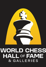 Load image into Gallery viewer, This playful magnet proudly displays the World Chess Hall of Fame logo with a yellow and black background
