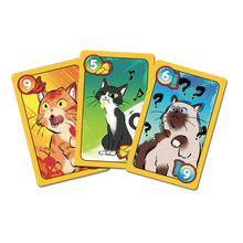 Load image into Gallery viewer, Sweet and Spicy
