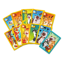 Load image into Gallery viewer, Sweet and Spicy
