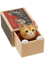 Load image into Gallery viewer, Blind Box, cat in matchbox
