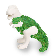 Load image into Gallery viewer, *Chia-saurus Rex Planter with Seeds
