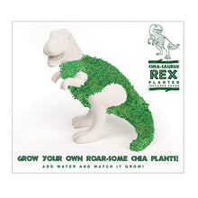 Load image into Gallery viewer, *Chia-saurus Rex Planter with Seeds
