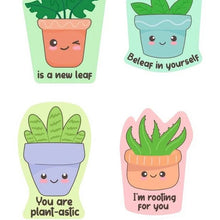 Load image into Gallery viewer, adorable succulents
