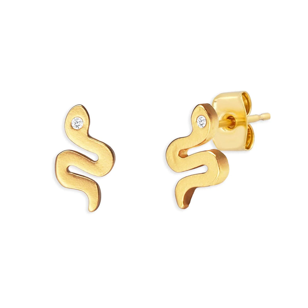 image of snake studs
