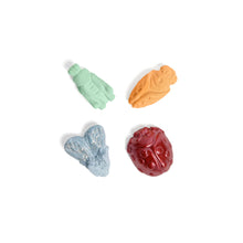 Load image into Gallery viewer, Liam&#39;s Insectarium Chalk
