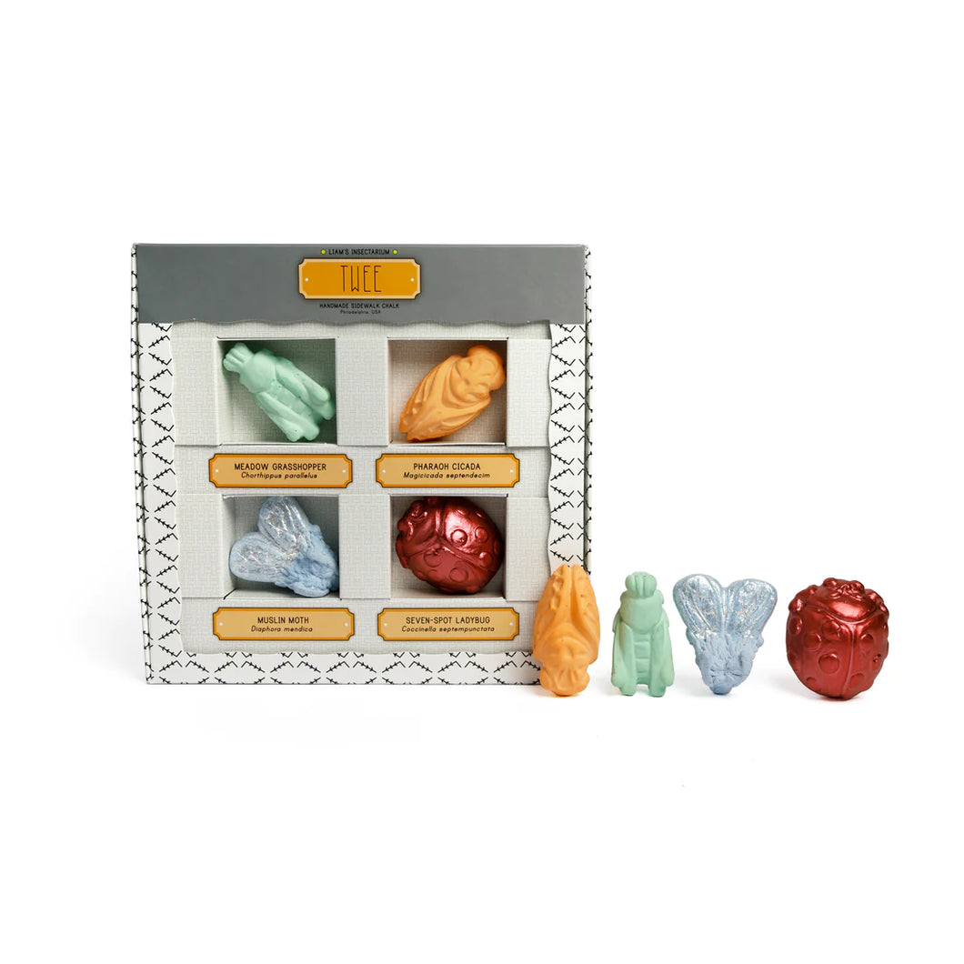 Liam's Insectarium Chalk