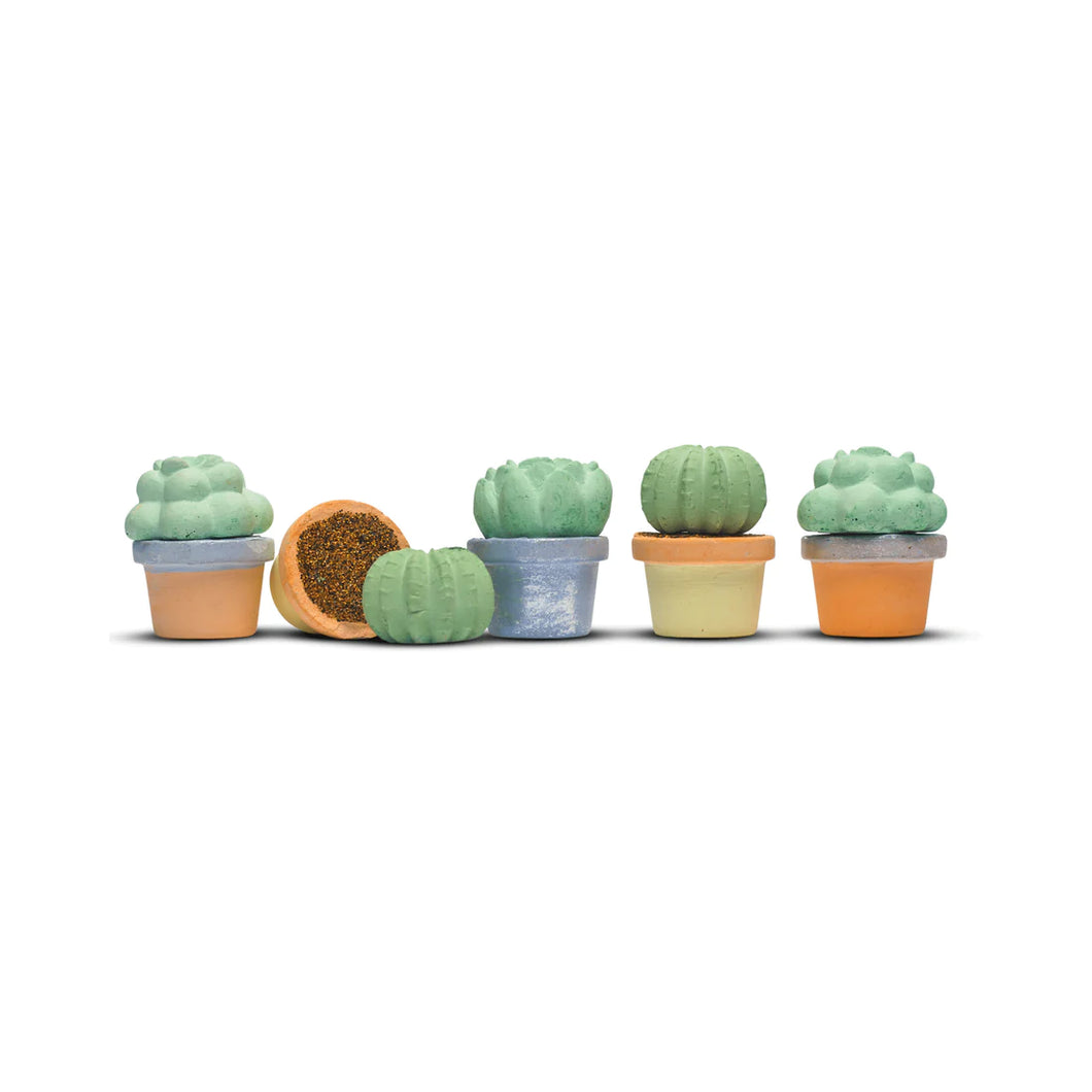 Maya & Siona's Succulents Chalk