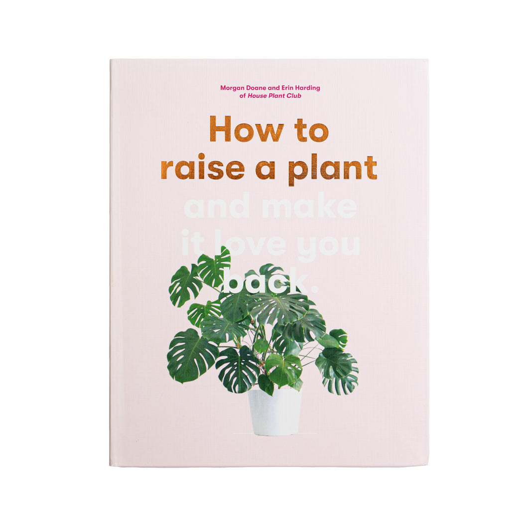 How to Raise a Plant and Make it Love You