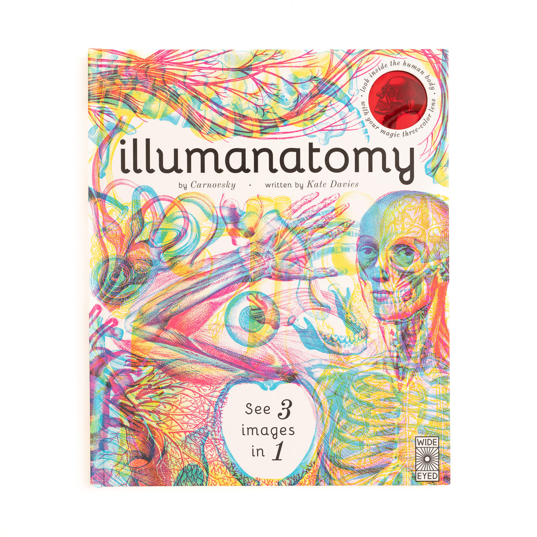 Illumanatomy