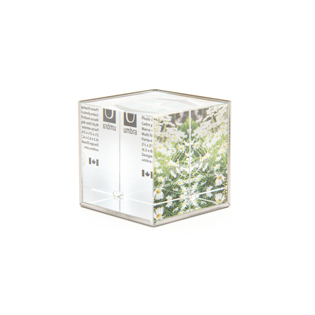#Ice Frame Nickel