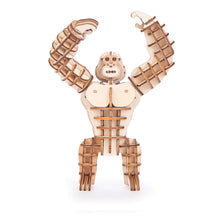 Load image into Gallery viewer, 3D Wooden Puzzles
