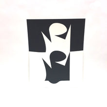 Load image into Gallery viewer, Vasarely Fantomes Portfolio

