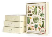 Load image into Gallery viewer, Assorted Boxed Notecards
