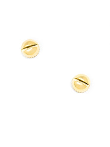 Flathead Screw Post Earring